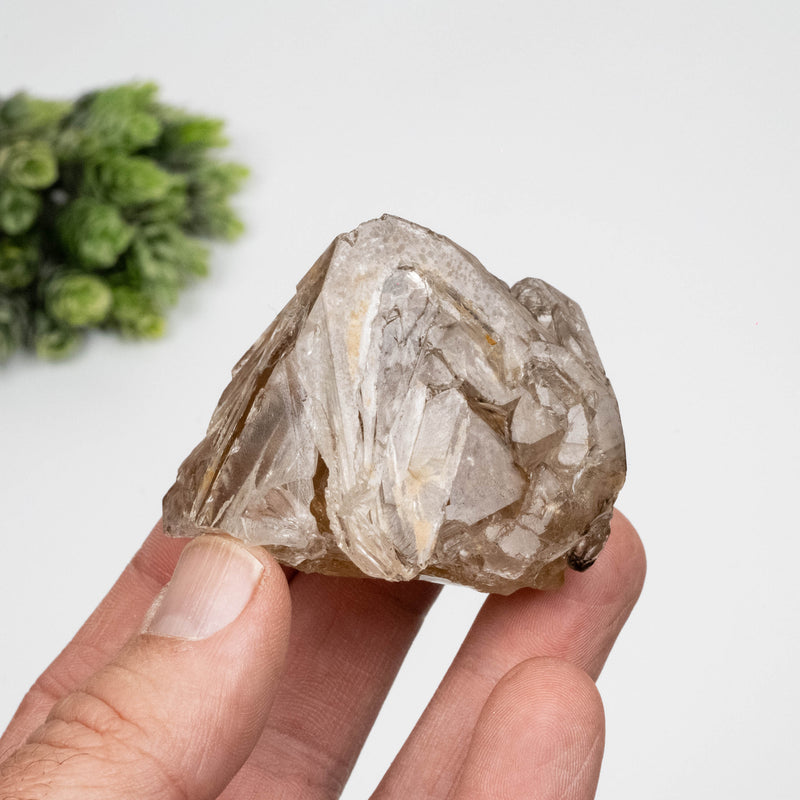 Smoky Quartz Crystal 134 g 61x60mm Skeletal Smoky Citrine
