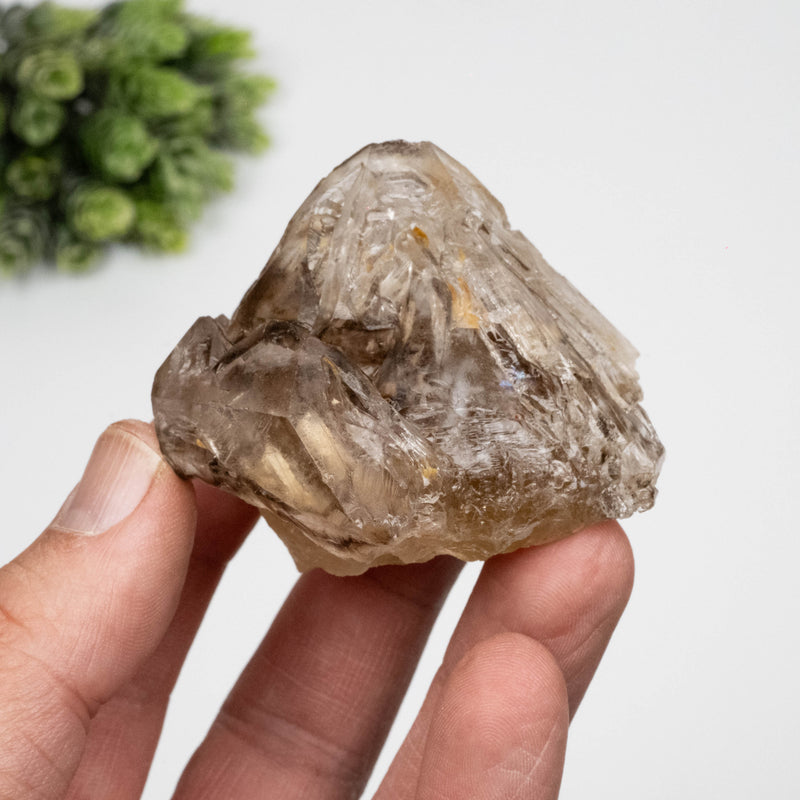 Smoky Quartz Crystal 134 g 61x60mm Skeletal Smoky Citrine