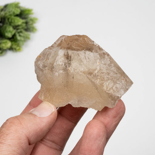 Smoky Quartz Crystal 148 g 63x52mm - InnerVision Crystals