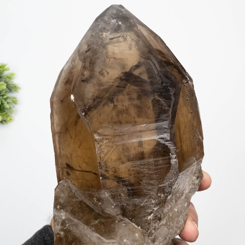 Citrine Crystal 4092 g 10.5x4.5in Self Healed