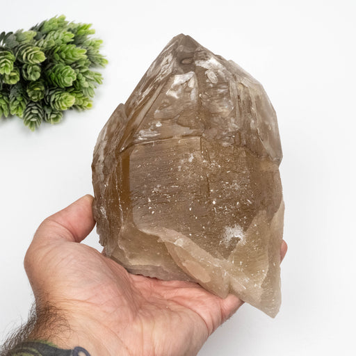 Citrine Crystal 1908 g 172x118mm Elestial Cathedral - InnerVision Crystals
