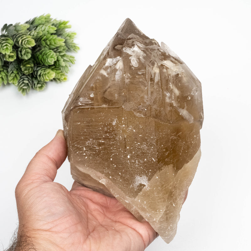 Citrine Crystal 1908 g 172x118mm Elestial Cathedral