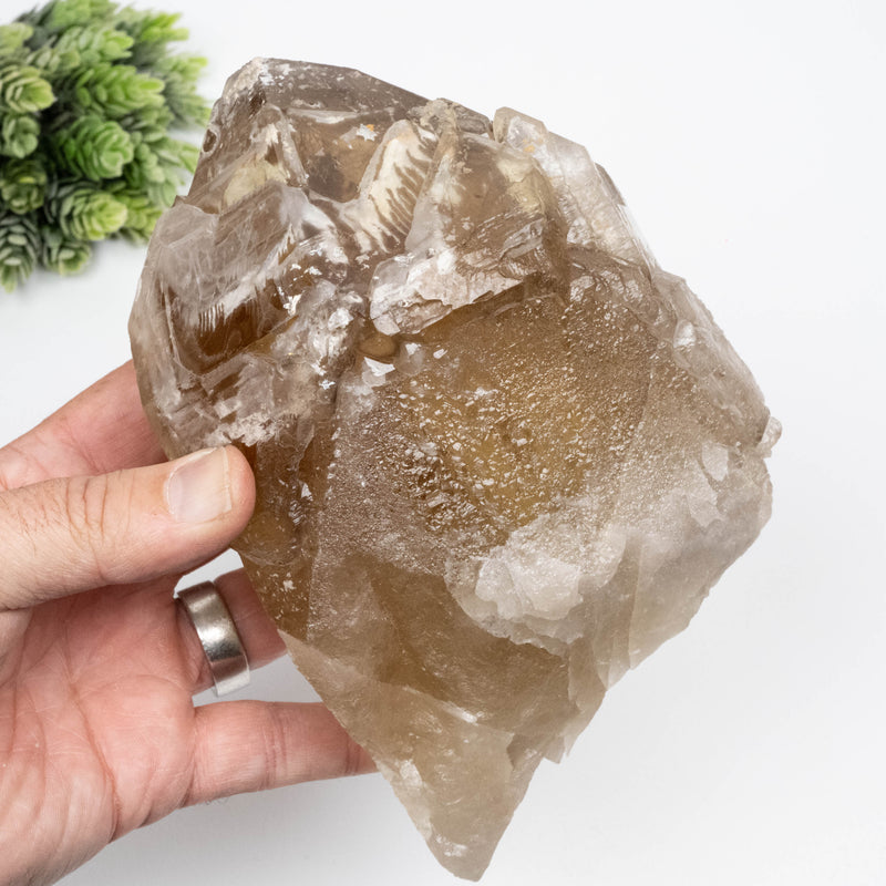 Citrine Crystal 1908 g 172x118mm Elestial Cathedral