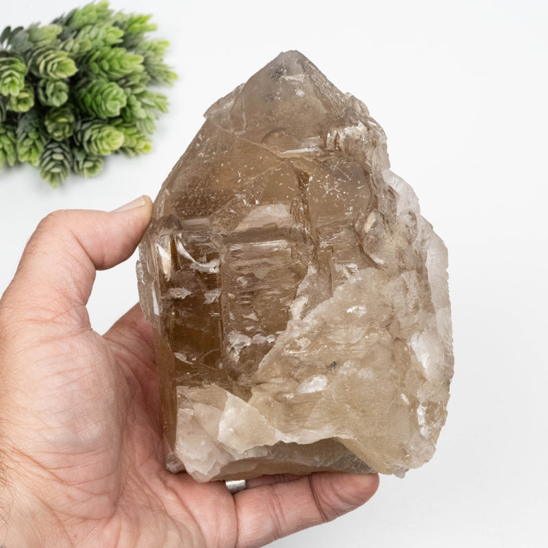 Citrine Crystal 1696 g 145x112mm Elestial Cathedral