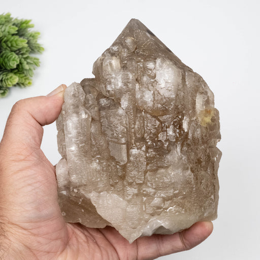 Citrine Crystal 1696 g 145x112mm Elestial Cathedral - InnerVision Crystals