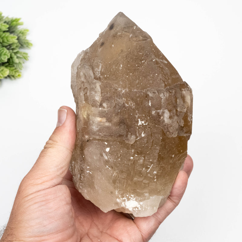 Citrine Crystal 1696 g 145x112mm Elestial Cathedral
