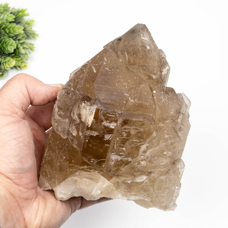 Citrine Crystal 1696 g 145x112mm Elestial Cathedral