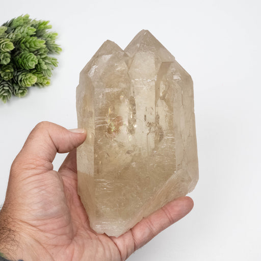 Citrine Crystal 1454 g 151x93mm DT Self Healed - InnerVision Crystals