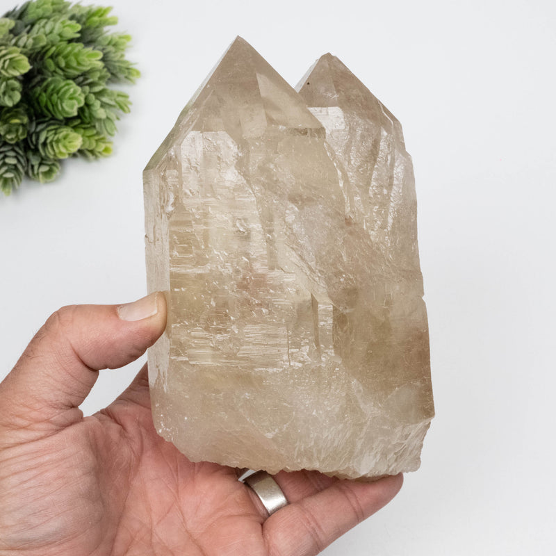 Citrine Crystal 1454 g 151x93mm DT Self Healed