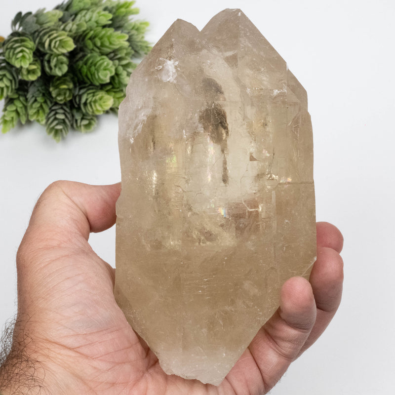 Citrine Crystal 1454 g 151x93mm DT Self Healed