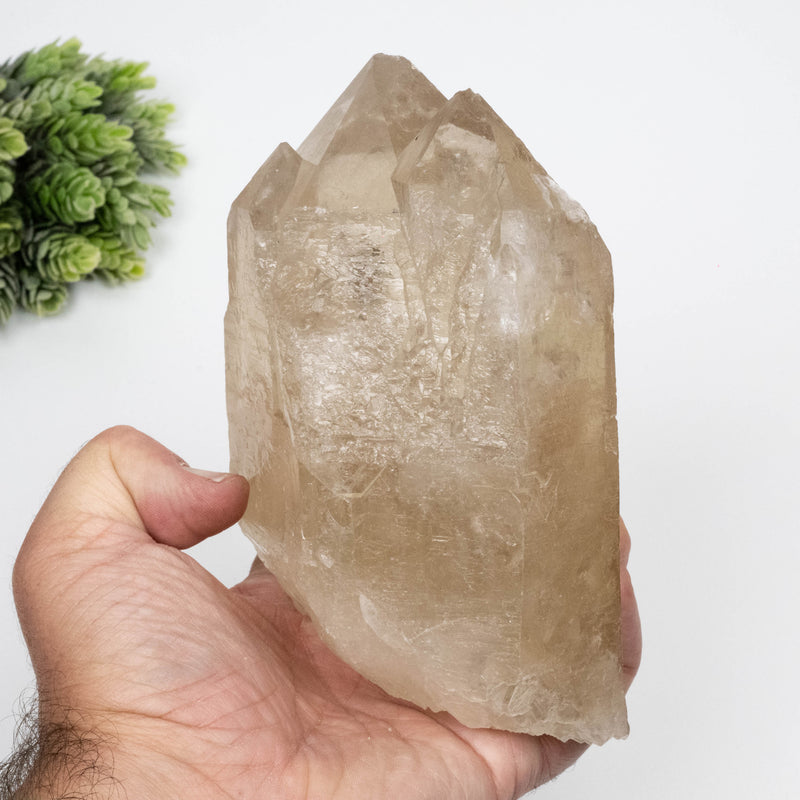 Citrine Crystal 1454 g 151x93mm DT Self Healed