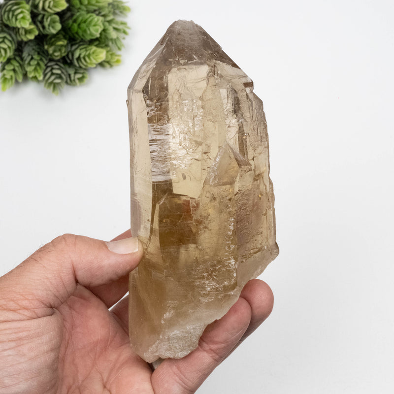 Citrine Crystal 766 g 151x63mm Self Healed