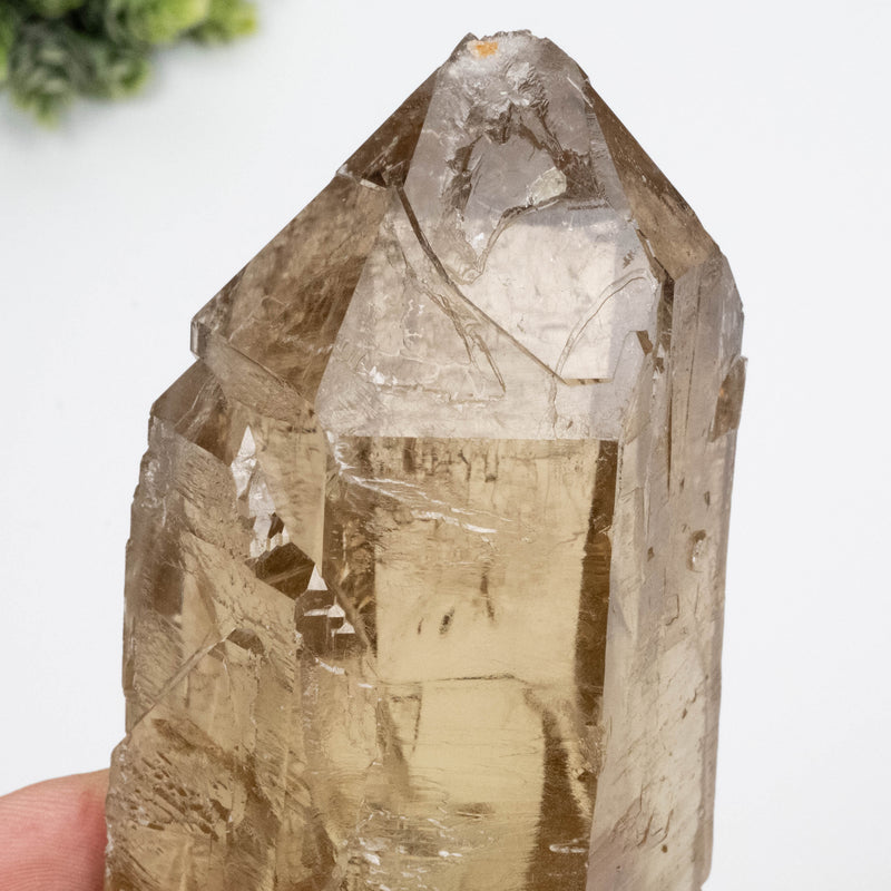 Citrine Crystal 766 g 151x63mm Self Healed