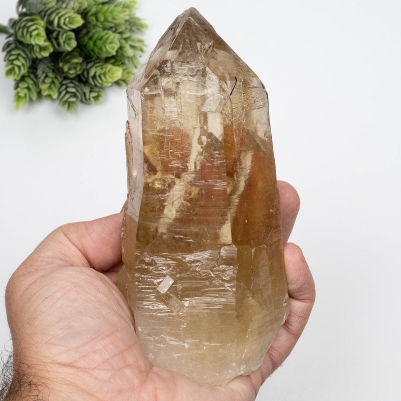 Citrine Crystal 766 g 151x63mm Self Healed