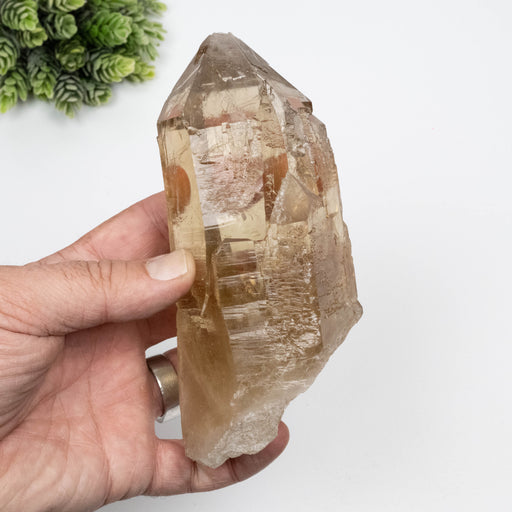 Citrine Crystal 766 g 151x63mm Self Healed - InnerVision Crystals