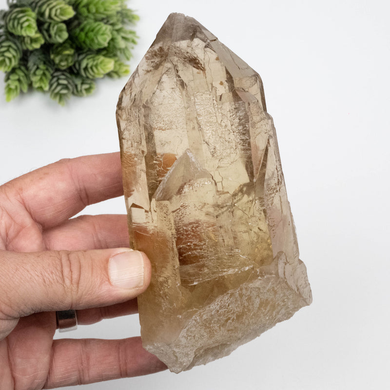 Citrine Crystal 766 g 151x63mm Self Healed