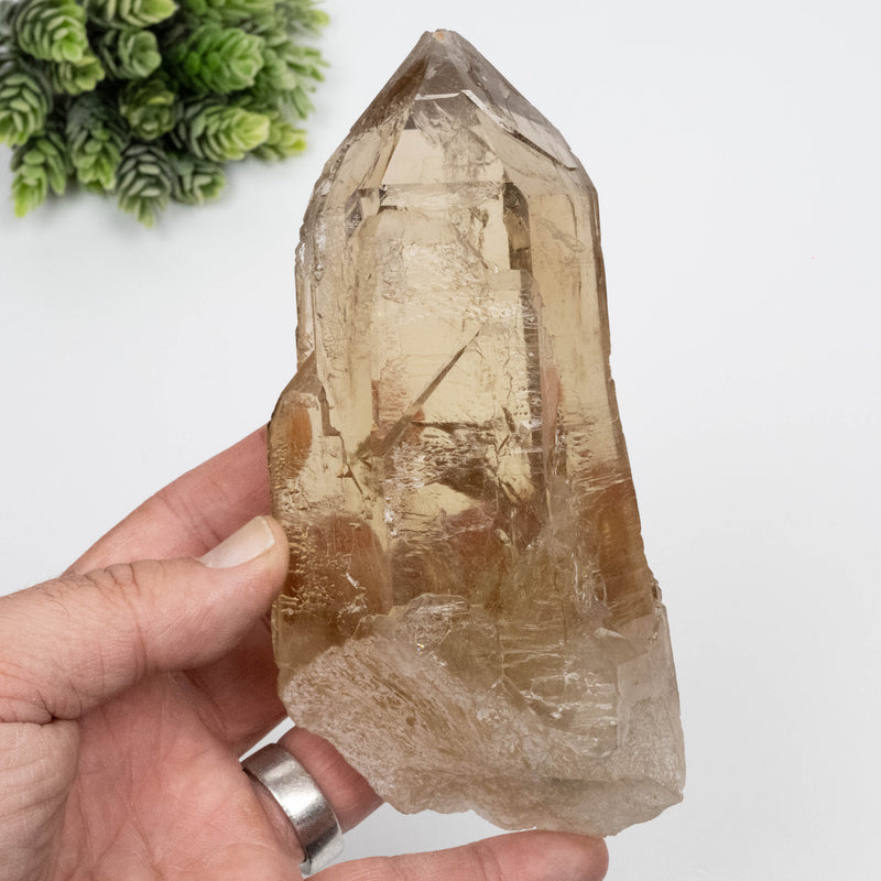 Citrine Crystal 766 g 151x63mm Self Healed
