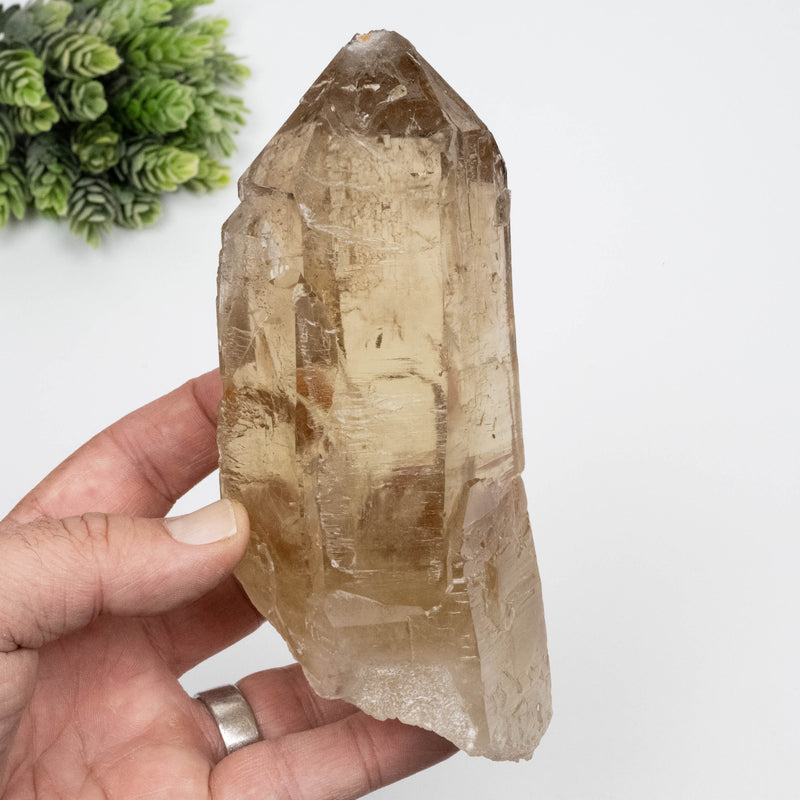 Citrine Crystal 766 g 151x63mm Self Healed