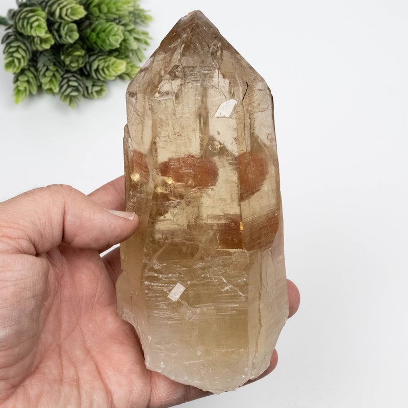 Citrine Crystal 766 g 151x63mm Self Healed