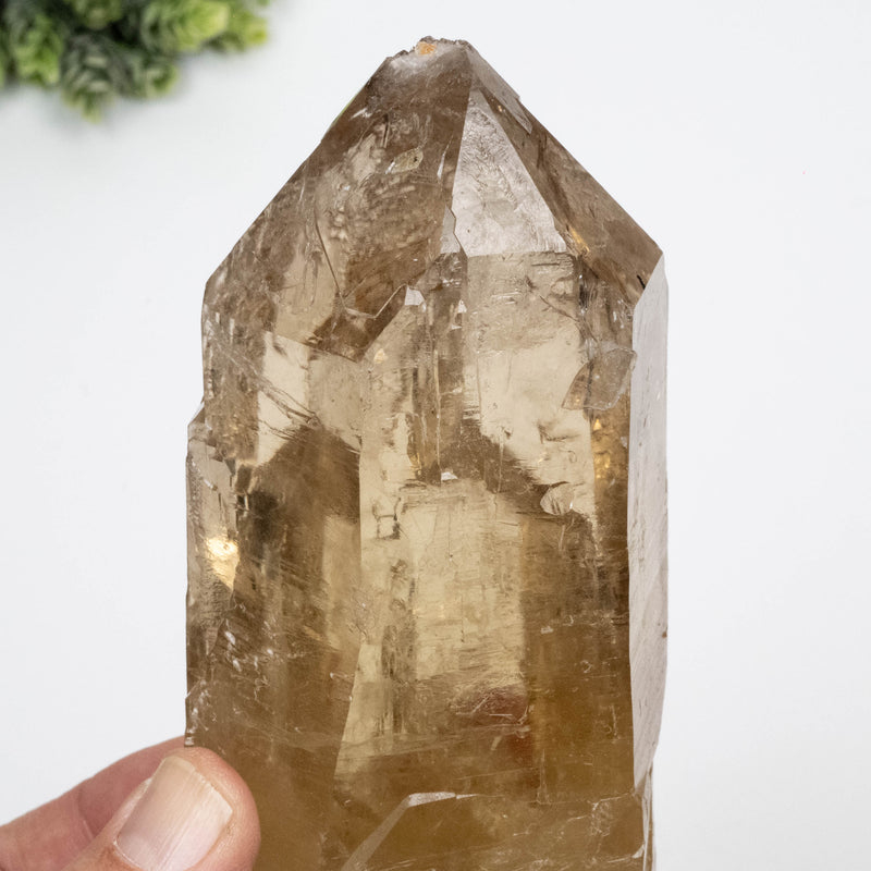 Citrine Crystal 766 g 151x63mm Self Healed