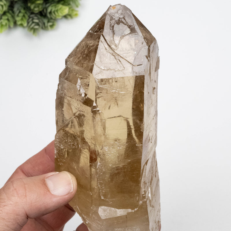 Citrine Crystal 766 g 151x63mm Self Healed