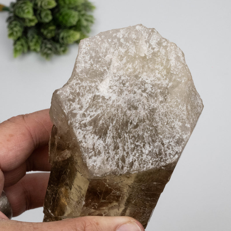 Citrine Crystal 766 g 151x63mm Self Healed