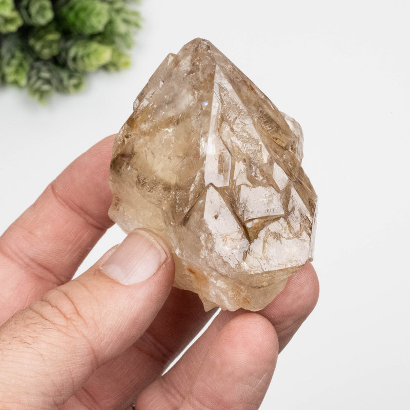 Citrine Crystal 151 g 64x63mm