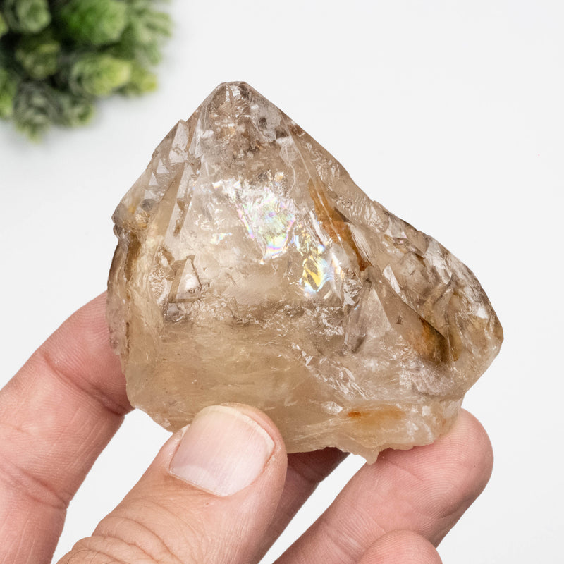 Citrine Crystal 151 g 64x63mm