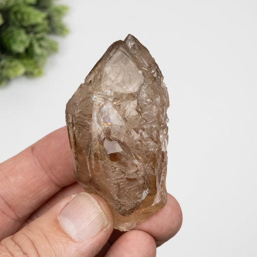 Citrine Crystal 99 g 69x41mm Elestial - InnerVision Crystals