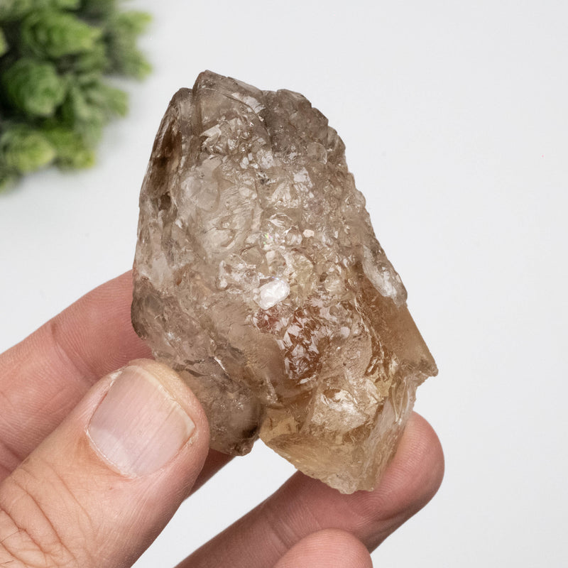 Citrine Crystal 99 g 69x41mm Elestial