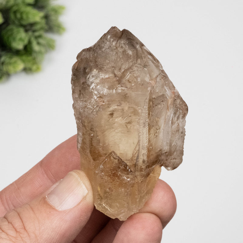 Citrine Crystal 99 g 69x41mm Elestial
