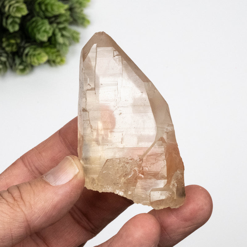 Citrine Crystal 121 g 93x46mm DT Self Healed