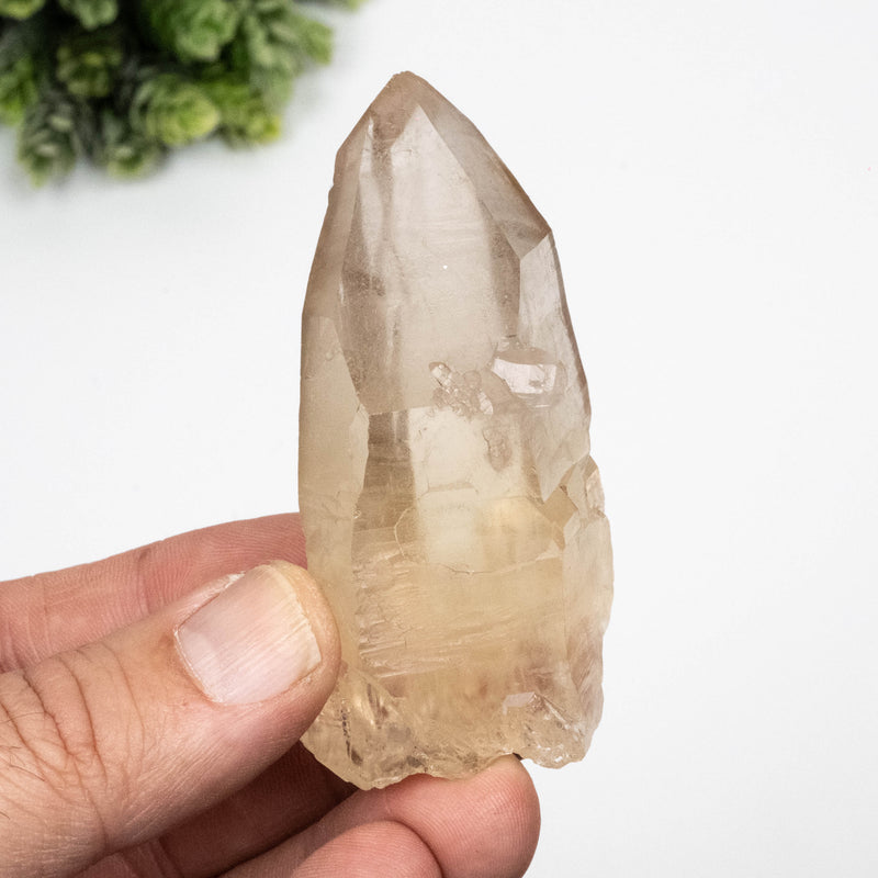Citrine Crystal 121 g 93x46mm DT Self Healed