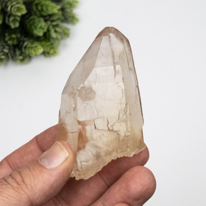Citrine Crystal 121 g 93x46mm DT Self Healed