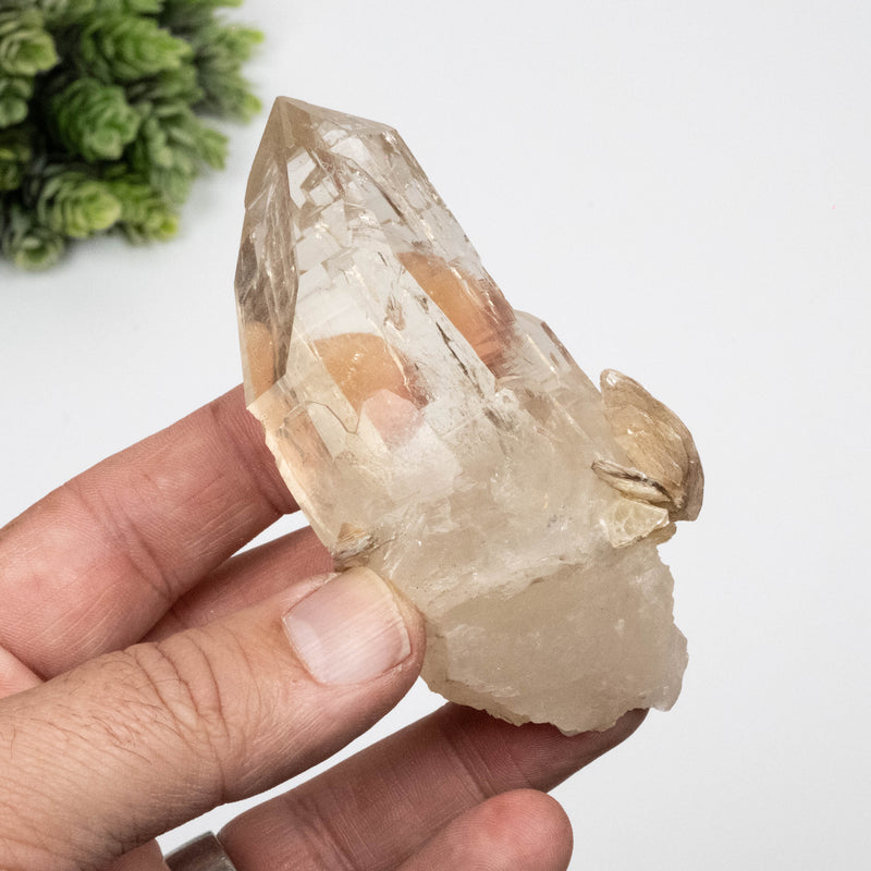 Citrine Crystal 168 g 97x48mm w/ Mica