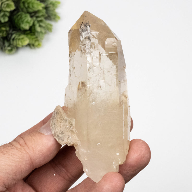 Citrine Crystal 168 g 97x48mm w/ Mica