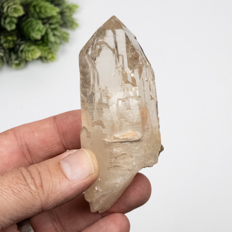 Citrine Crystal 168 g 97x48mm w/ Mica