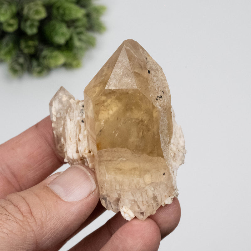 Citrine Crystal 79 g 61x54mm