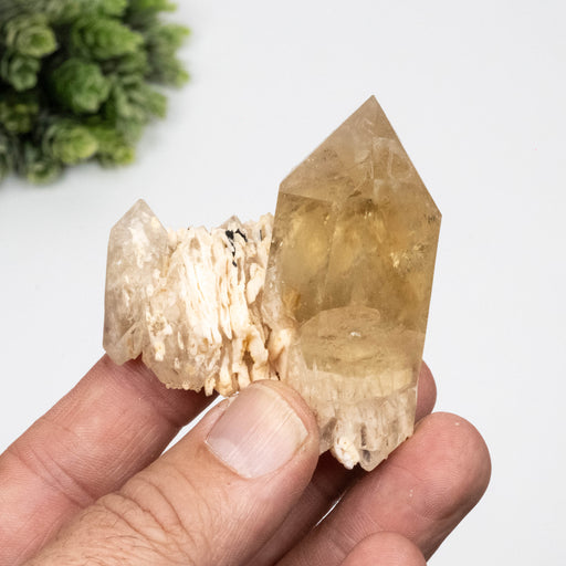 Citrine Crystal 79 g 61x54mm - InnerVision Crystals