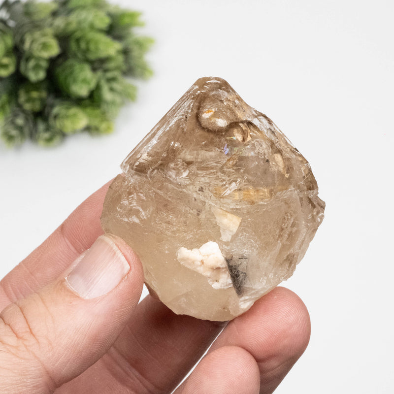 Citrine Crystal 91 g 55x51mm Skeletel