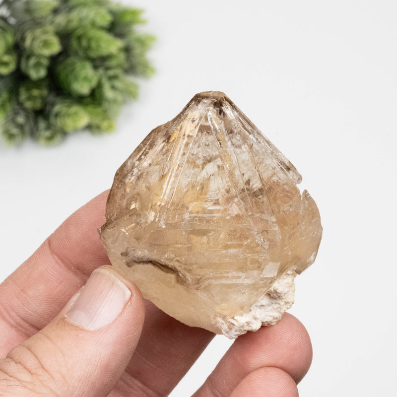 Citrine Crystal 91 g 55x51mm Skeletel