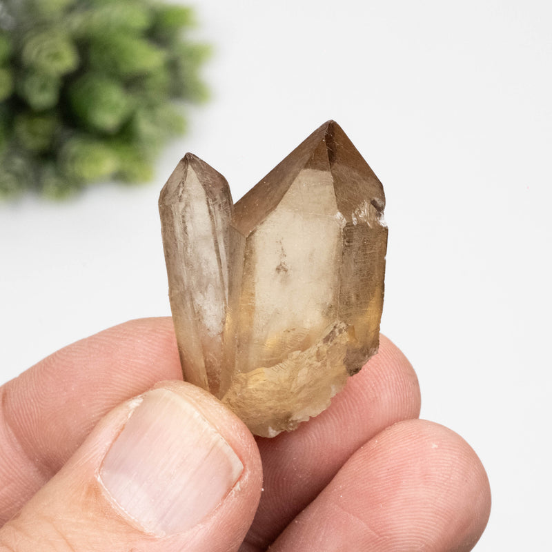 Citrine Crystal 19.26 g 38x24mm