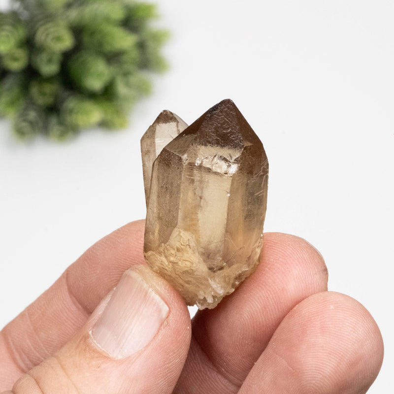 Citrine Crystal 19.26 g 38x24mm
