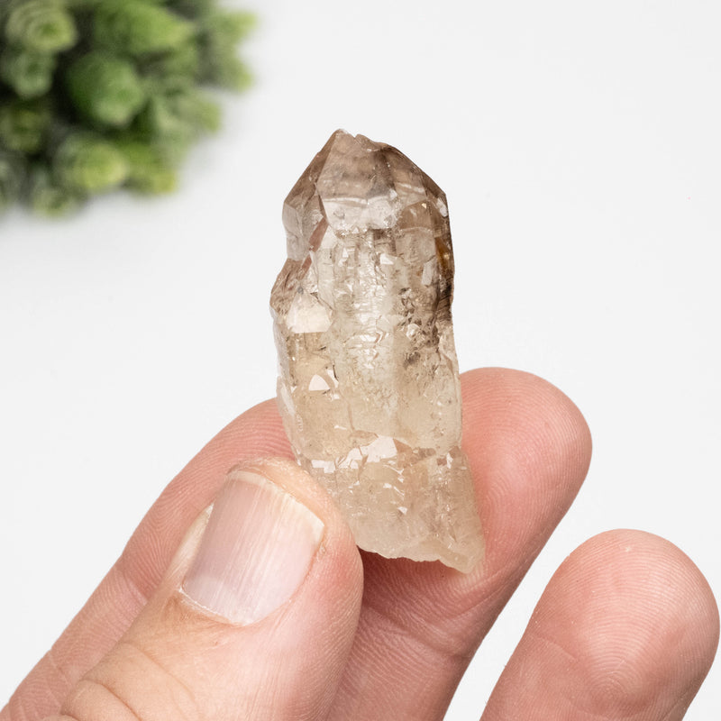 Citrine Crystal 19.63 g 46x19mm