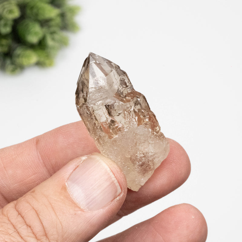 Citrine Crystal 19.63 g 46x19mm