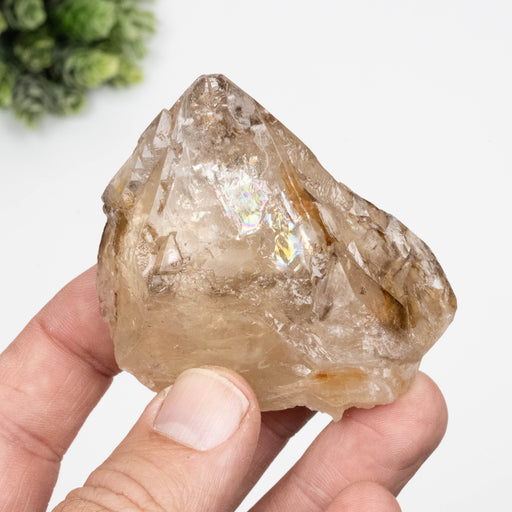 Citrine Crystal 151 g 64x63mm - InnerVision Crystals