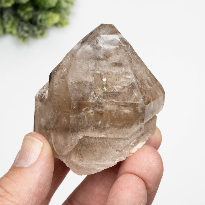 Citrine Crystal 158 g 61x55mm Skeletel