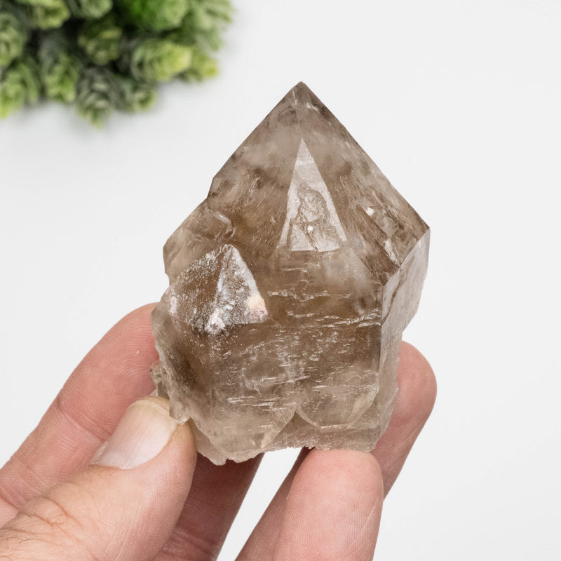 Citrine Crystal 158 g 61x55mm Skeletel