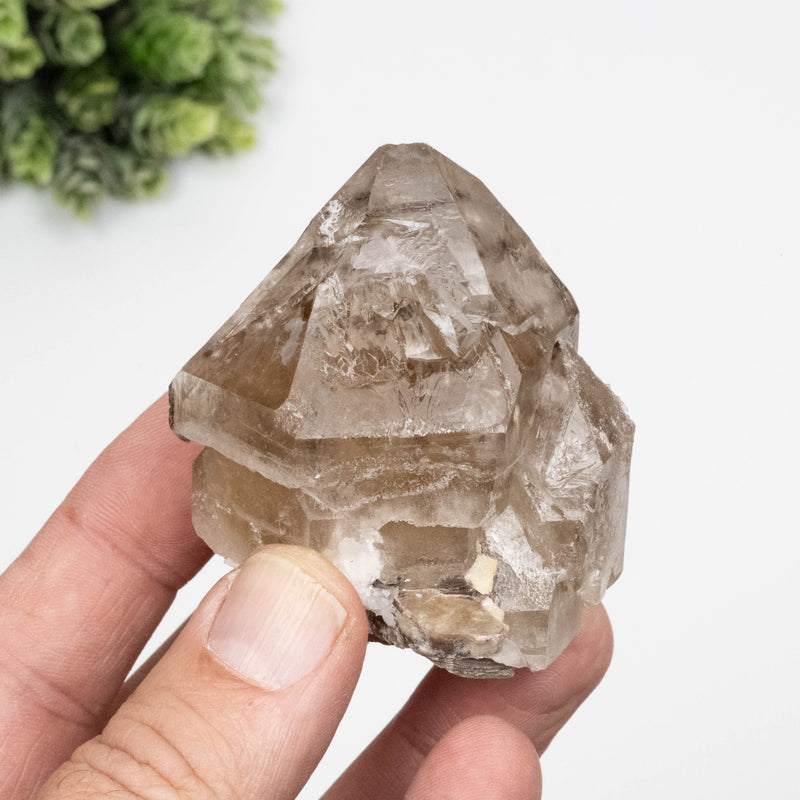 Citrine Crystal 158 g 61x55mm Skeletel