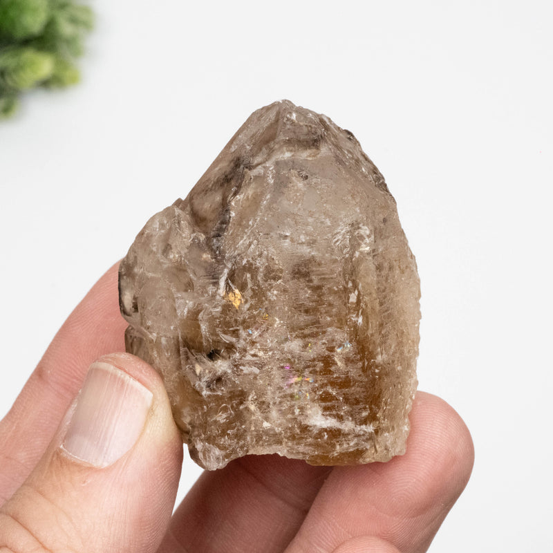 Citrine Crystal 93 g 50x46mm